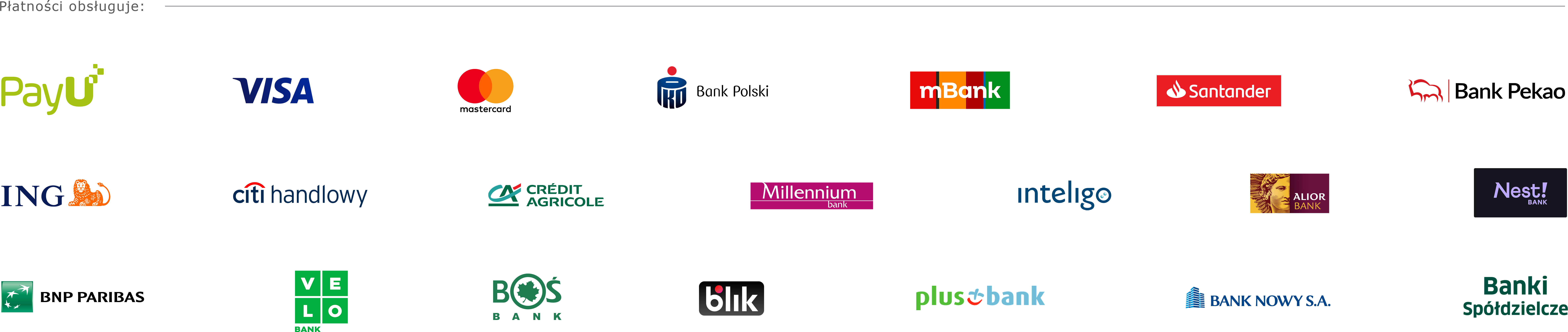 Pasek_banki_karty_11_2022.png